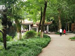 -赭山公园
