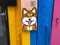 -洪馨椰子