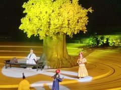 -鼎盛王朝康熙大典实景演出