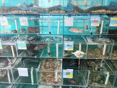 水产区-琼大师东方烤乳猪(亚特兰蒂斯店)