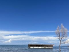 -青海湖国家重点风景名胜区