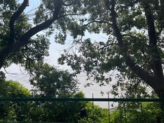 -平湖九龙山旅游度假区