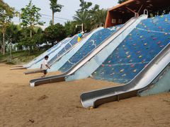 -宝安西湾红树林湿地公园