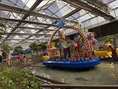 -南宫五洲植物乐园