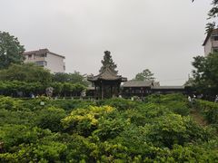 -青州古城