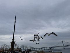 -星海广场