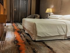 -西安赛瑞喜来登大酒店