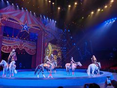 -珠海横琴长隆《卡卡虎奇遇记》