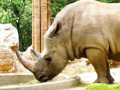 -北京野生动物园