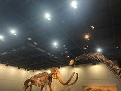 -浙江自然博物院(杭州馆)