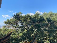 -昆明市金殿名胜区