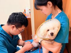 -美迦爱-牙专科·兔科·骨科诊疗中心(北苑店)
