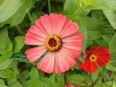 -大宁郁金香公园-停车场