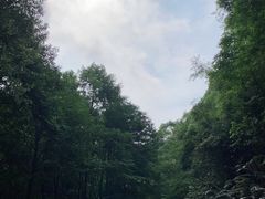 -广州市帽峰山景区