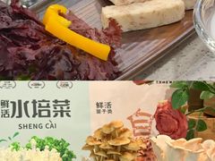 -烹然四季椰子鸡火锅(团结湖总店)