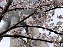 -东方明珠广播电视塔