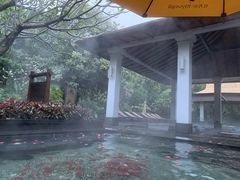 -厦门日月谷温泉渡假村