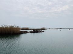 -太湖湖滨国家湿地公园-停车场