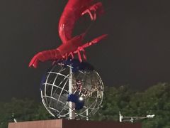 -红胖胖龙虾王·本地菜