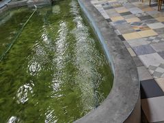 -光头佬室内钓虾场·烧烤·团建·亲子(中山八路店)