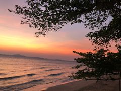 -卷心菜和避孕套餐厅(Pattaya)