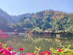 -西双版纳原始森林公园