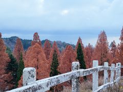 -神户市立六甲山牧场