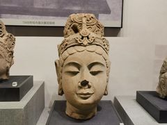 -四川大学博物馆