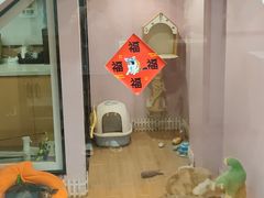 -联合动物医院(光谷诊疗中心)