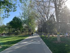 -西海子公园