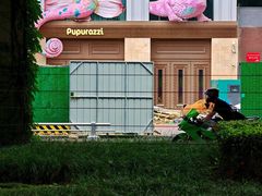 -帕帕拉兹宠物(亚洲旗舰店)