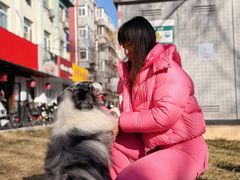 -美联众合动物医院·24h京西诊疗中心