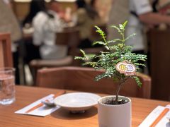 -CURRY YA 熟成咖哩專門店(深圳湾万象城店)