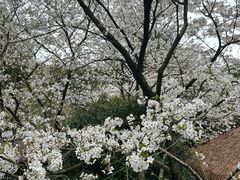 -中国茶叶博物馆(双峰馆区)