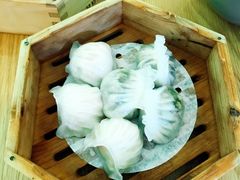 -美食小镇·观赏珍稀鸟类·长隆熊猫酒店