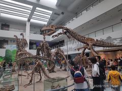 -中国地质大学逸夫博物馆