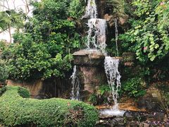 -大埔公路-马料水段香港中文大学(公交站)