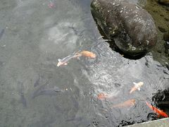 -水前寺成趣园