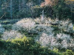 -福建天门山