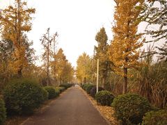 -白鹭湾湿地公园