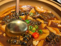 -梅花境(万科店)