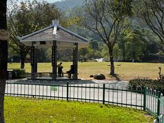 -火炉山森林公园