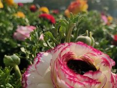 -同济大学(嘉定校区)