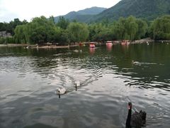 -西安秦岭野生动物园