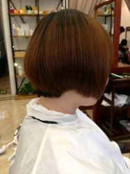 picture-璞玺形象