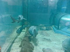 -福州罗源湾海洋世界旅游区