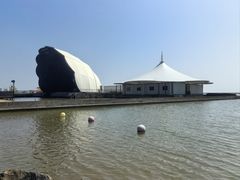 -碧海金沙
