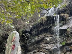 -少华山国家森林公园