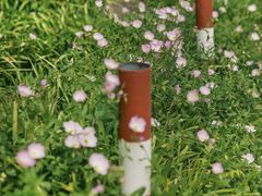 -西湖风景区-江洋畈生态公园