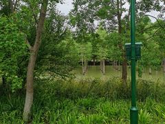 -泗洪洪泽湖湿地景区